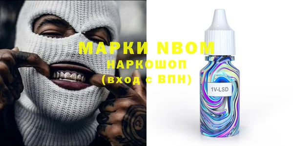 прущий лед Алзамай