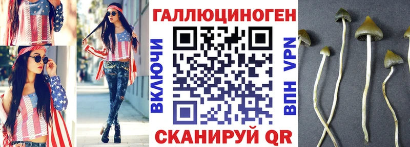 гидра вход где можно купить наркотик Элиста Псилоцибиновые грибы мухоморы