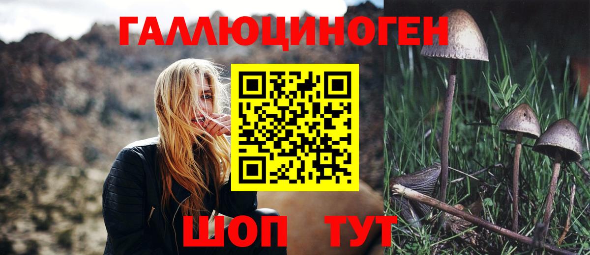 Псилоцибиновые грибы Cubensis  Вход с VPN  Элиста 