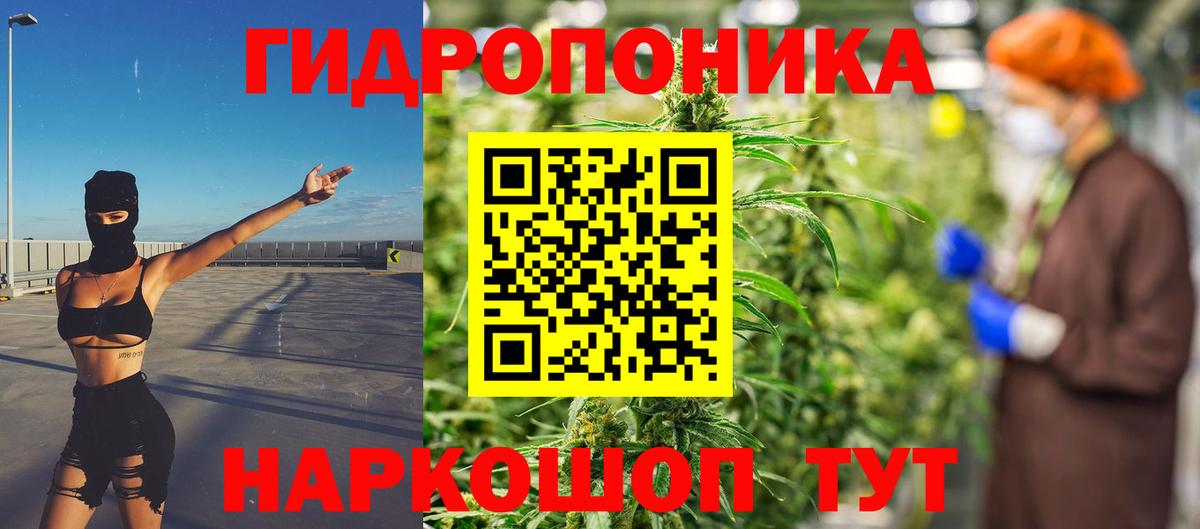 Каннабис ГИДРОПОН Элиста